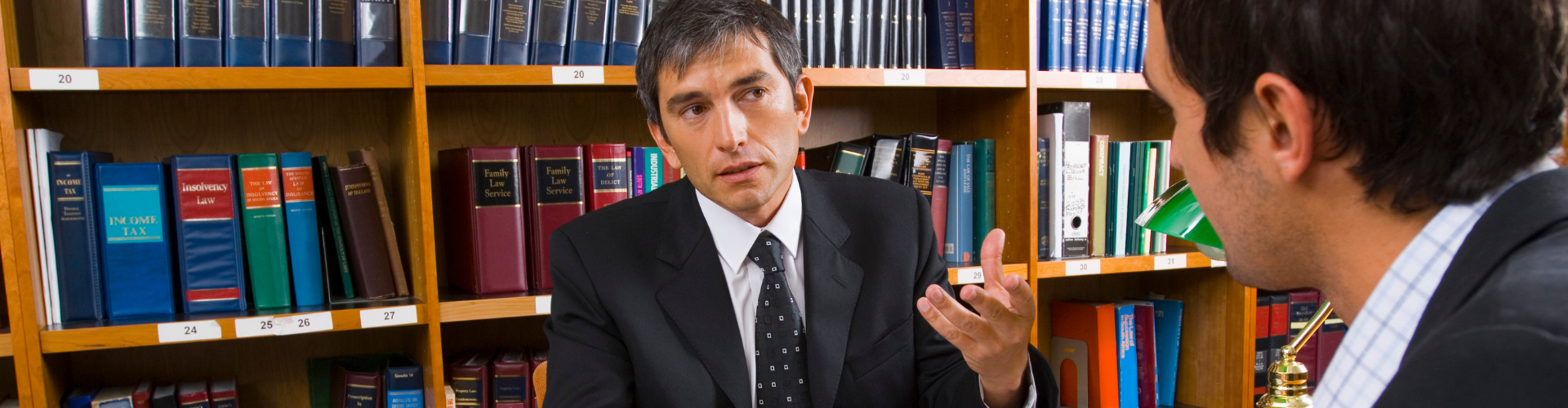 Working with Expert Witnesses: Single Joint Experts