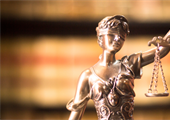 Guidance on the Remuneration of Expert Witnesses in  Crime Cases