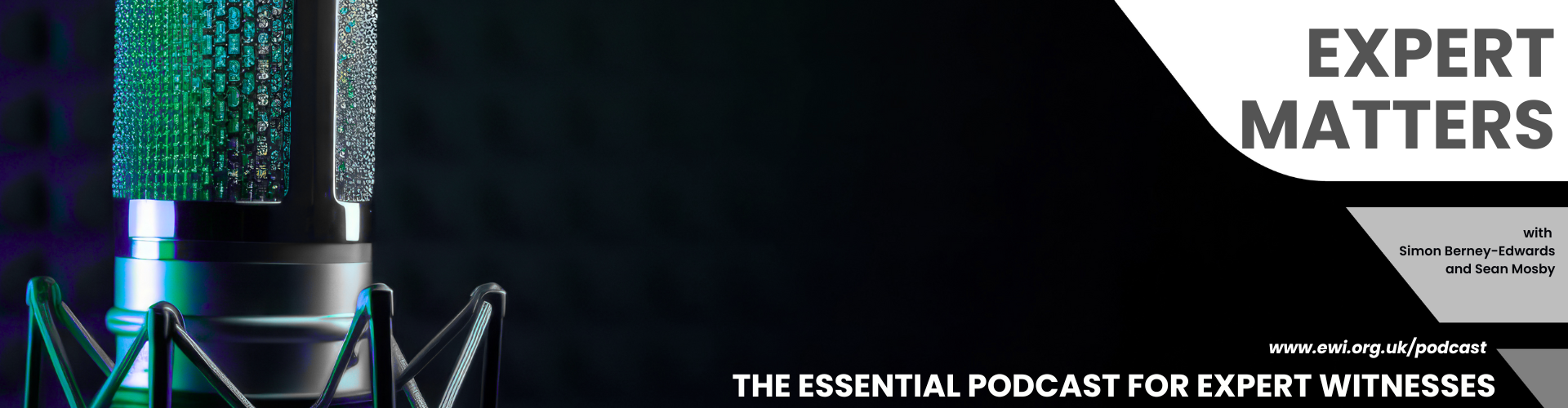 Podcast Episode 18: Pro Bono Expert Evidence