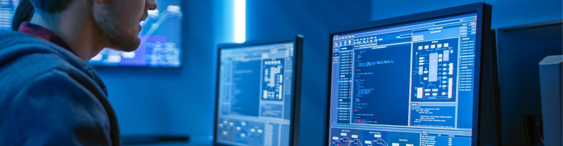 A Day in the Life of an IT Expert Witness - Insights and...